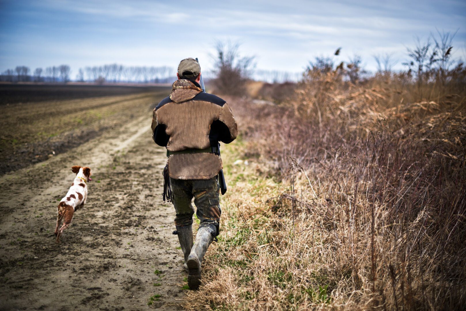 Back portrait of hunter with rifle and hunting dog during pursuit.